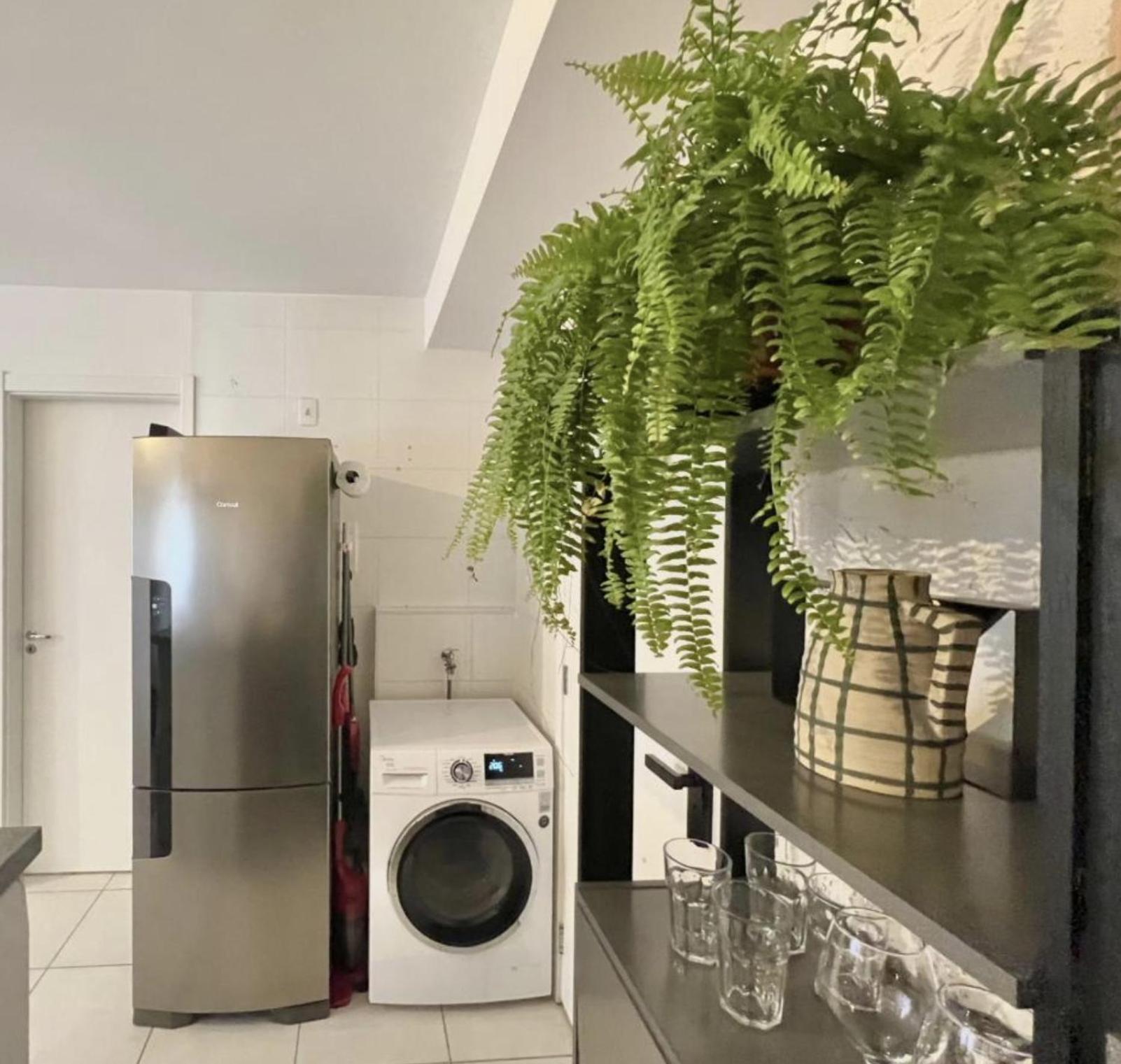 Ap Zona Sul Sp Apartamento